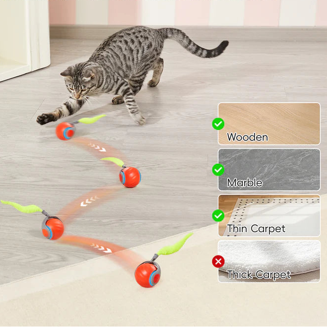 Purapet Electronic Moving Cat Play Ball